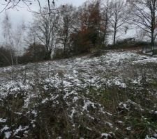 Notre terrain en friche...il y va y avoir du travail