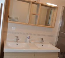 Miroir MASA 120cm vendu sur le site Castorama (vendu sans appliques)