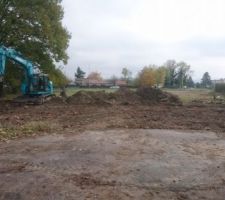 Les abres sont arraché il ne reste plus qu'à creuser les fondations