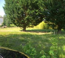 Les 2 sapins &agrave; enlever... ou &agrave; garder &ccedil;a ferait un sacr&eacute; sapin de no&euml;l ! celui &agrave; gauche est au milieu du salon le 2eme sous l?auvent de la terrasse.