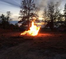 On br&ucirc;le la haie coup&eacute; &agrave; l'arrache par un inconnu. chut faut pas le dire on n'a pas le droit.