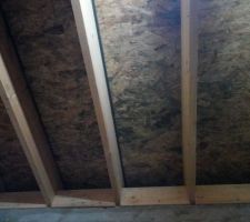 Moisissure au niveau du plancher du garage.