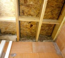 Moisissure au niveau du plancher du garage.