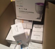 Ampoules connectées Philips Hue
