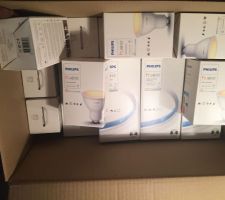 Ampoules connectées Philips Hue