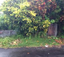 Sa c le commencement