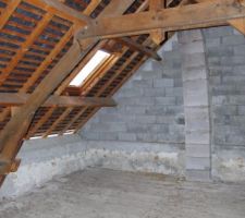 Vue de la charpente de la chambre au-dessus du salon.
Vue du conduit de chemin&eacute;e d&eacute;voy&eacute; que nous souhaitons conserver pour &eacute;vacuer les fum&eacute;es d'un po&ecirc;le qui sera install&eacute; dans le salon (conduit en boisseaux de 20x40).