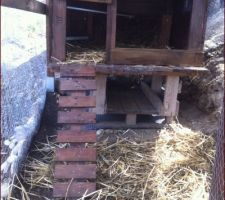 Construction Poulailler