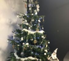 Premier sapin 
Noël 2017