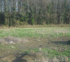 La maison est piquet&eacute;e.nous sommes le 16 novembre 2017. rdv chez le notaire le 20!!!.