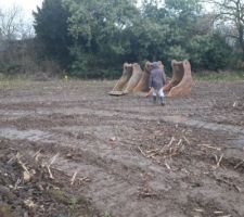 Vue de notre terrain depuis la fa&ccedil;ade nord