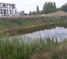 Terrain vierge avec son Lac