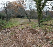 Terrain AVANT nettoyage