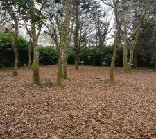 Le terrain, avant toute intervention de notre part