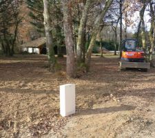 Les 4 chanceux qui pourront être conservés et dont on va prendre soin !