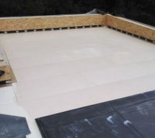 Collage membrane EPDM