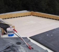 Collage membrane EPDM