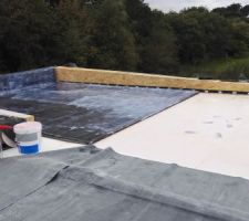 Collage membrane EPDM