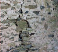 Fissure pignon Nord