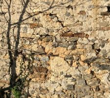 Fissure façade Est