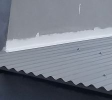 Toiture gris souris
