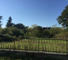 Terrain - fa&ccedil;ade 15.3m - 662m&sup2;