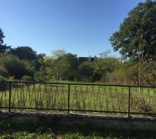 Terrain - fa&ccedil;ade 15.3m - 662m&sup2;