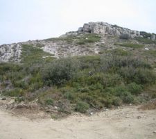 Vue depuis le point le plus bas du terrain. L'accès véhicule se trouve sur la gauche de cette photo.