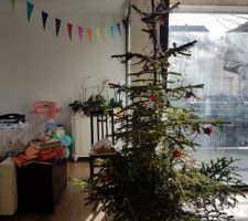 Le sapin est là : 1er noël sur le parquet :)