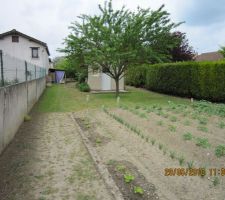 Terrain tout en longueur