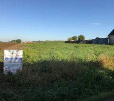 Permis affich&eacute;