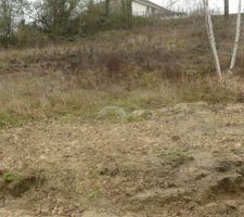 Terrain avant "nettoyage"