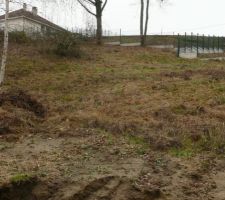Terrain après débroussaillage