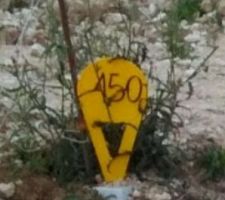 Terrain juillet 2017