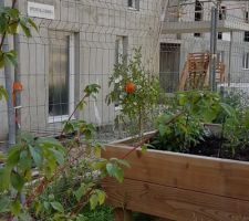 Le petit jardin partag&eacute; avec la residence d'a cot&eacute; ...