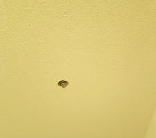 Visite de notre appartement: Les plafond..... c'est peut &ecirc;tre le hic :-( ce revetement "goutelette" on est plus du tout habitu&eacute; donc &agrave; voir a l'usage.....