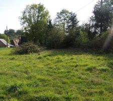 Avant qu'on enl&egrave;ve l'ancienne cloture et toute la v&eacute;g&eacute;tation