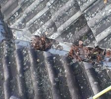 Le tranchis non tenus arrêtent les feuilles  lors d'un orage