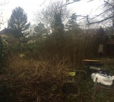 Flan gauche du terrain