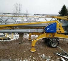 Grue posée !
