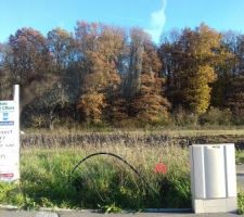 Notre terrain - 895m² situé sur le secteur de St Arnoult en Yvelines - en lotissement