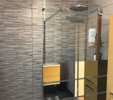Enfin les premi&egrave;res pi&egrave;ces de terminent salle de douche rdc