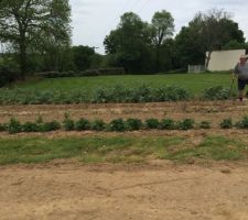 Une partie du jardin