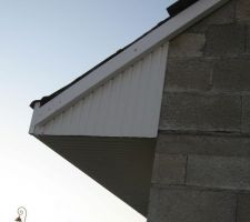 Corbeau en lambris