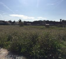 Visite du terrain : ce sera celui-là!