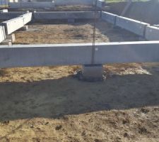 Pose des longrines sur les pieux - idem, petit souci de longueur