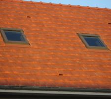 Les decoupes autour des velux sont finies