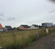 Terrain n&deg;21 - Les lavandes &agrave; Oignies