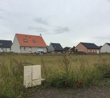 Terrain n&deg;21 - Les lavandes &agrave; Oignies