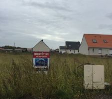 Terrain n&deg;21 - Les lavandes &agrave; Oignies